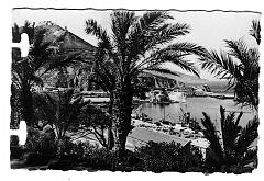 ORAN 1960 LE VIEUX PORT